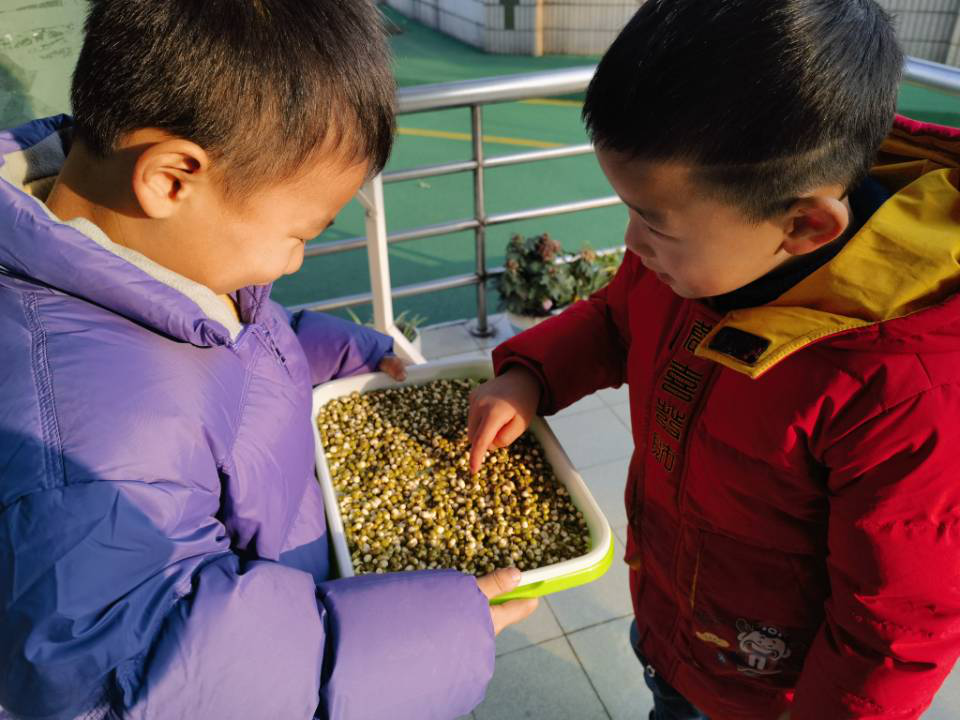 图片10.png