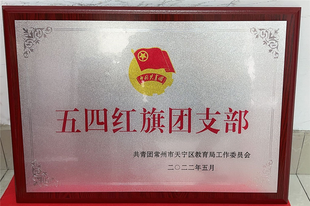 五四红旗团支部_副本.png