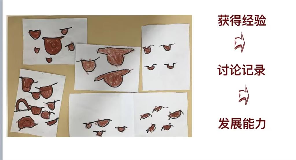 陈丹婷.png