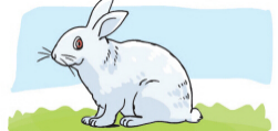 33.png