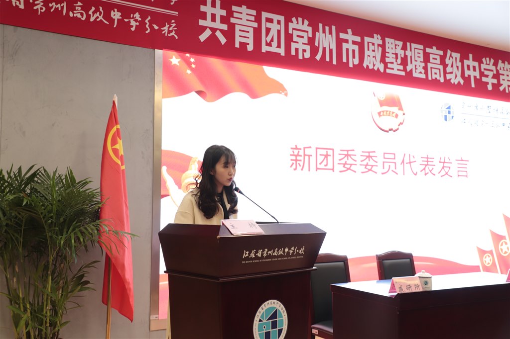 潘老师发言.JPG