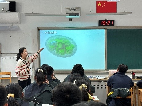 QQ.jpg