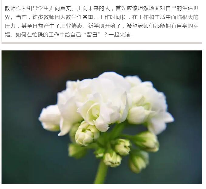 QQ截图20230217101232.jpg