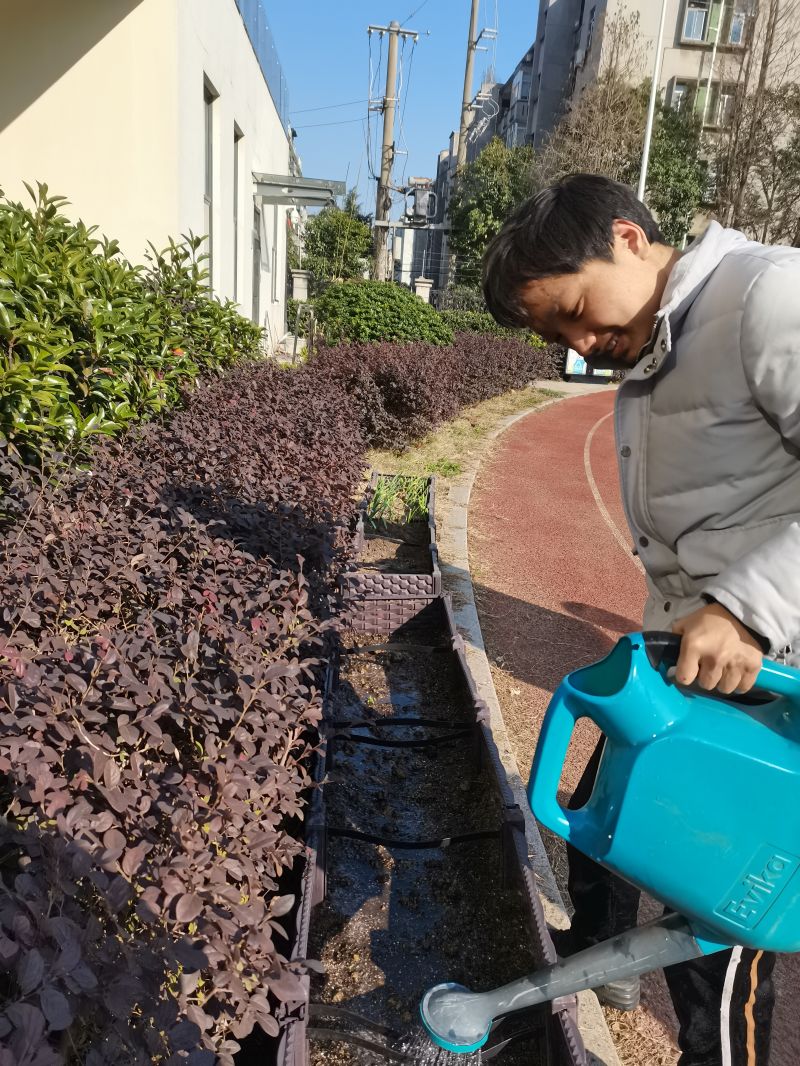 浇水1.jpg