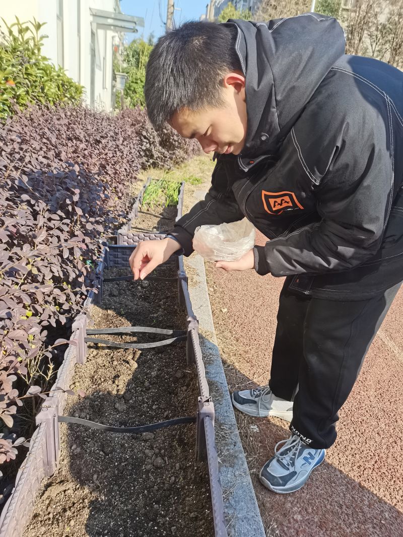 播种2.jpg