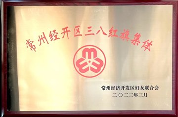 新安小学获评经开区“三八红旗集体”