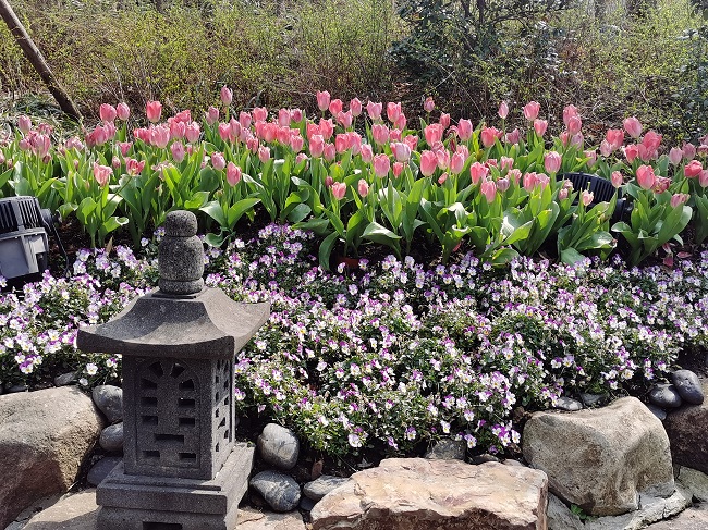 花.jpg