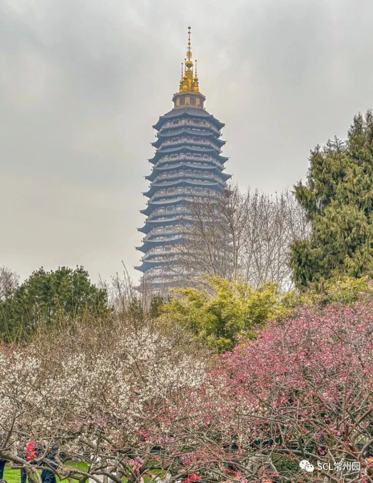 微信图片_20230314133722.jpg