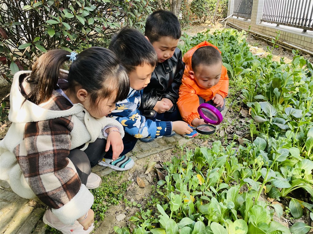 花2.jpg