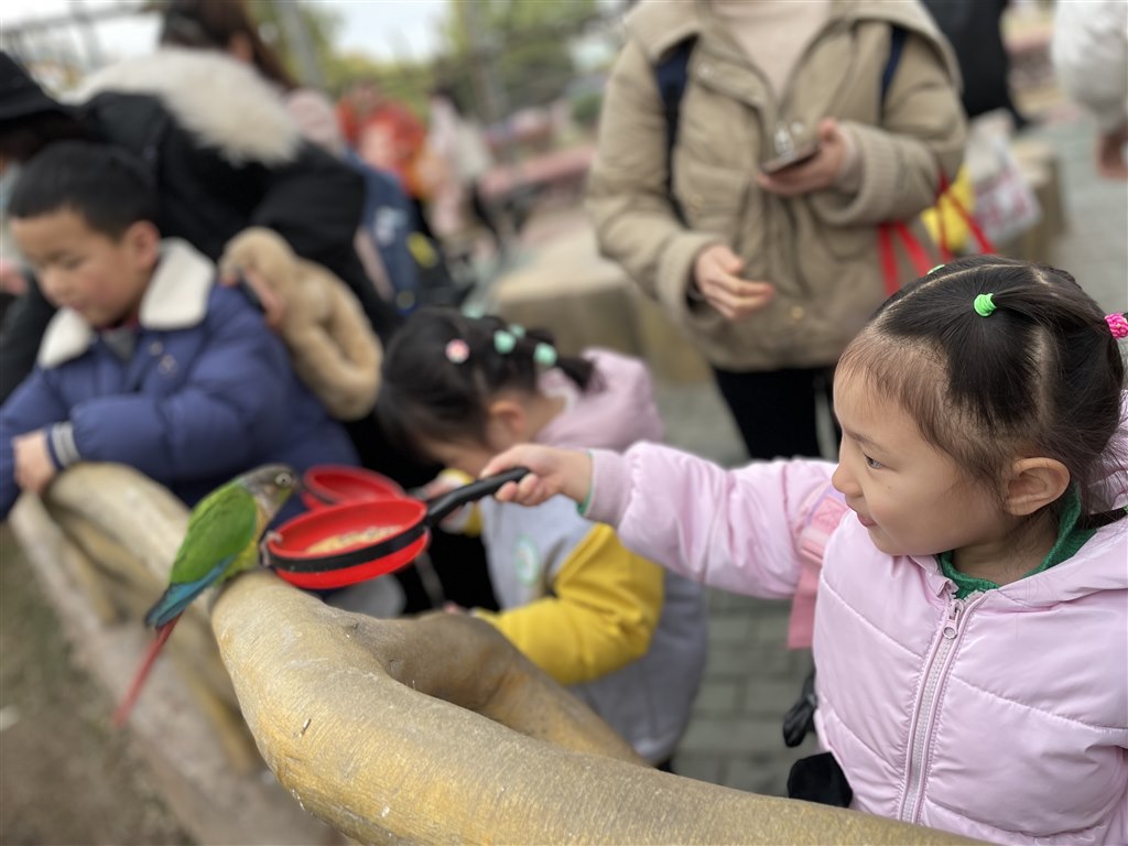 IMG_3718.JPG IMG_3718.JPG