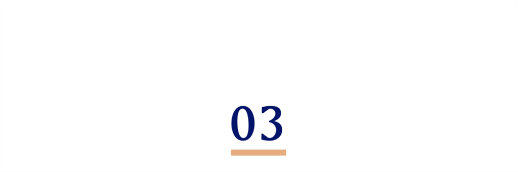03.png 03.png