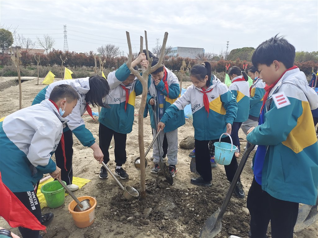 植树10.jpg