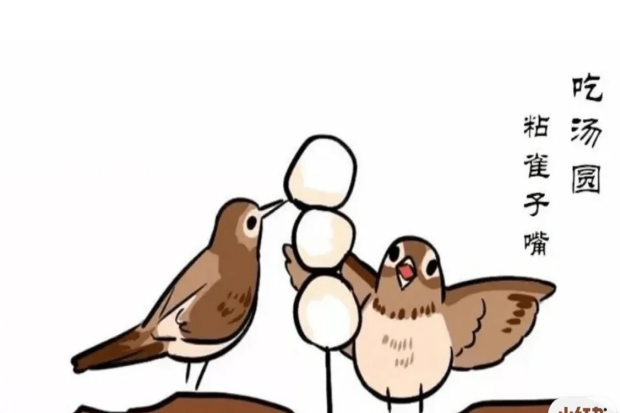 8.png