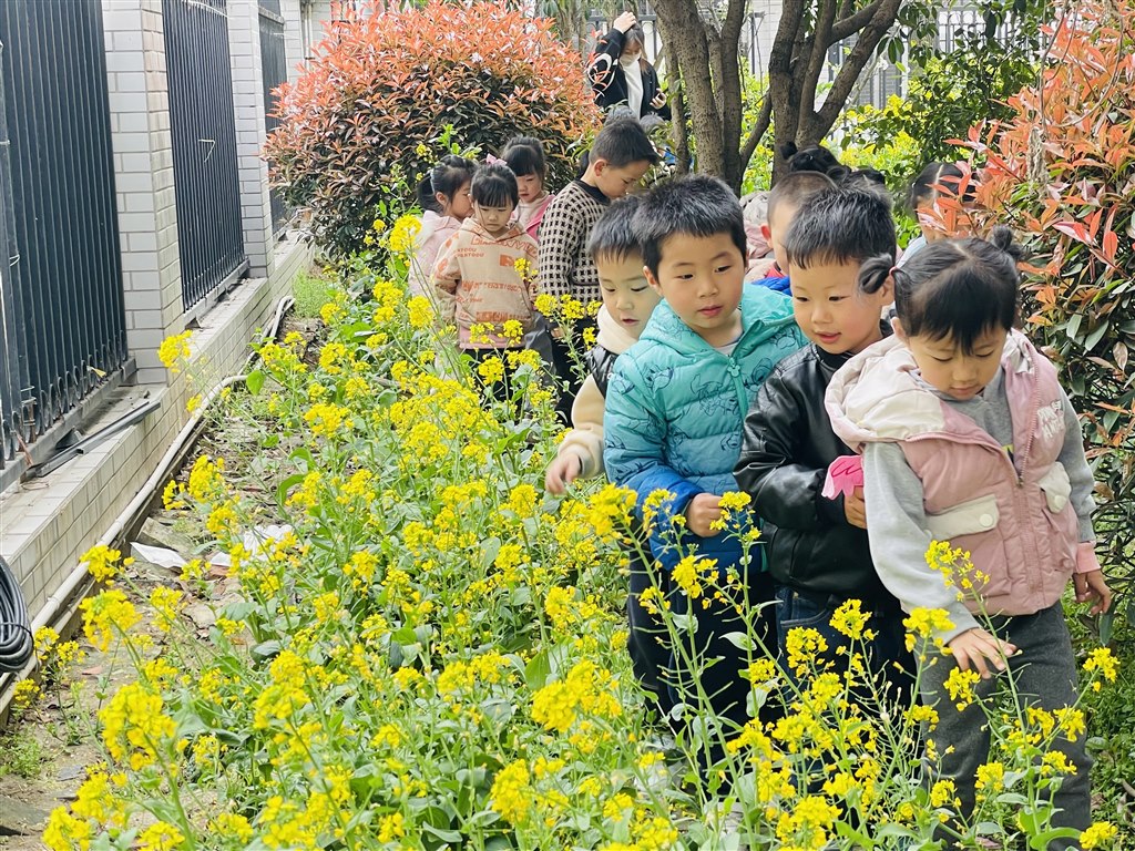 花3.JPG