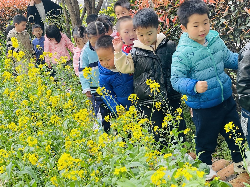 花1.jpg