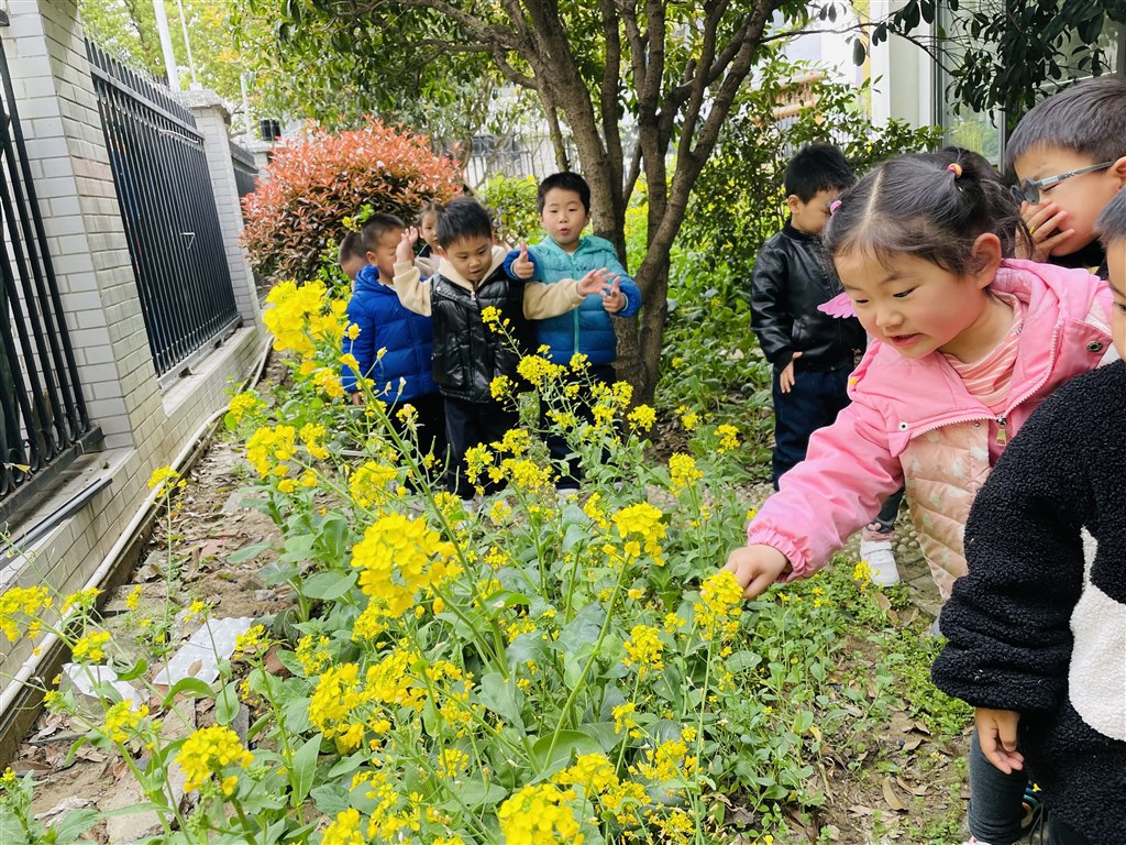 花2.jpg