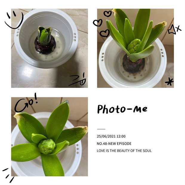 图片7.jpg 图片7.jpg