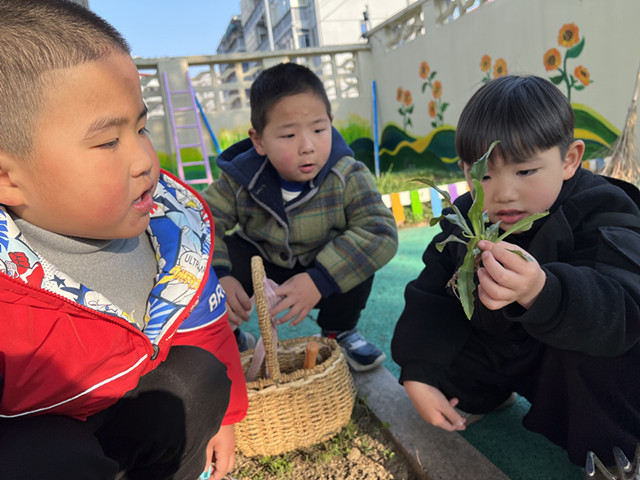 IMG_0132_副本.jpg