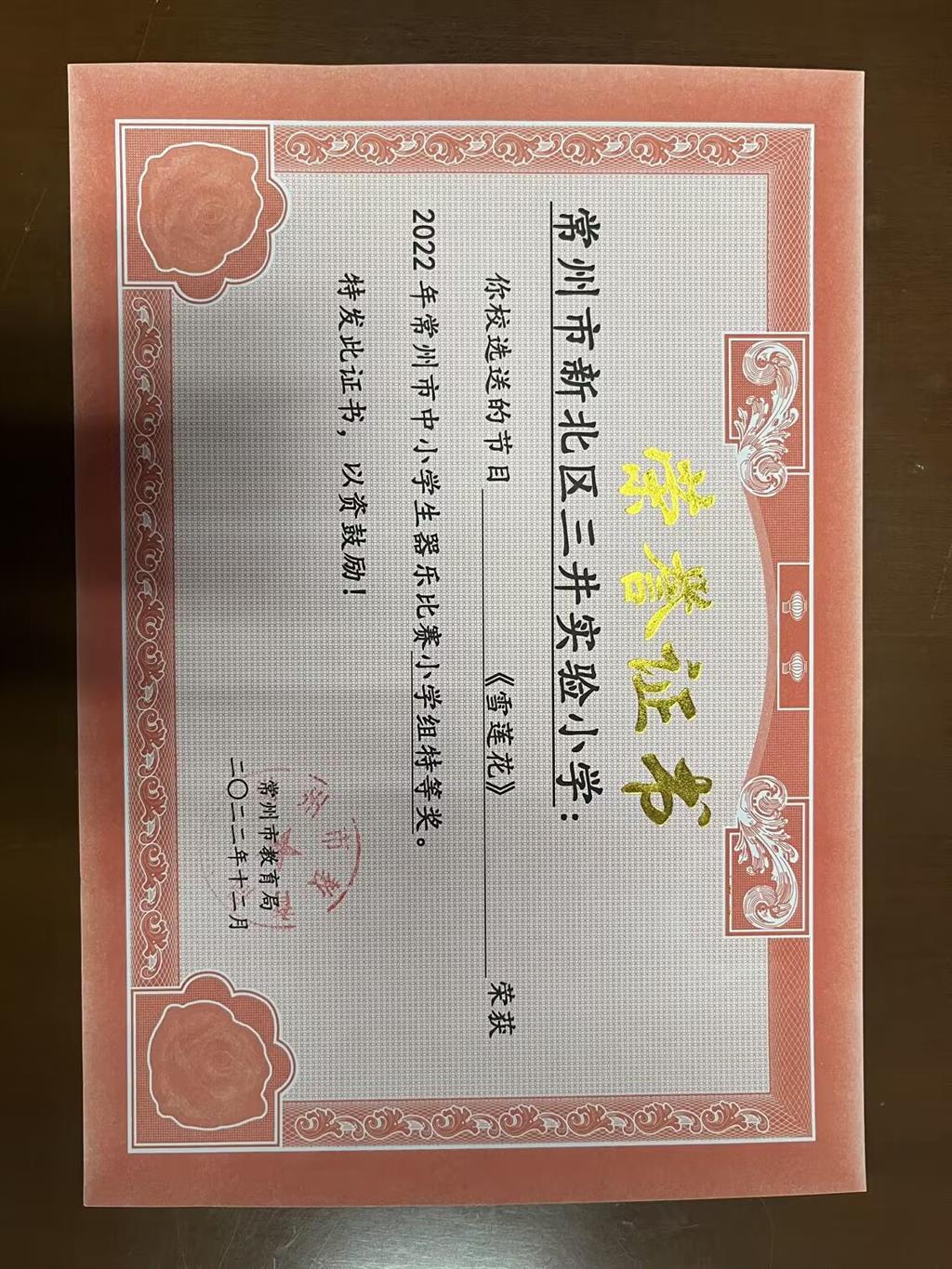 （2022未统计）2022.12常州市中小学生乐器比赛小学组特等奖.png