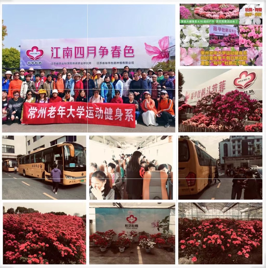 fea03636-a41d-4a45-b2ff-02ece1d1c73b.jpg