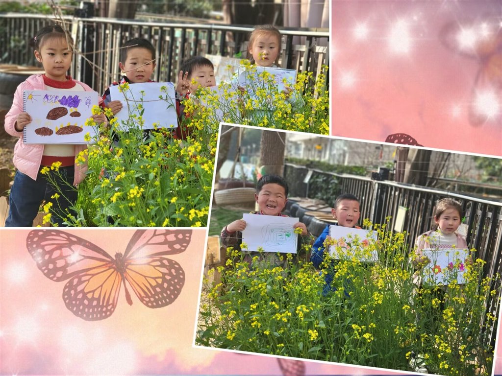 CD6753895B329D15A8B503D70B7A5A8D.jpg