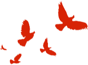 微信图片_20230423153050.png 微信图片_20230423153050.png