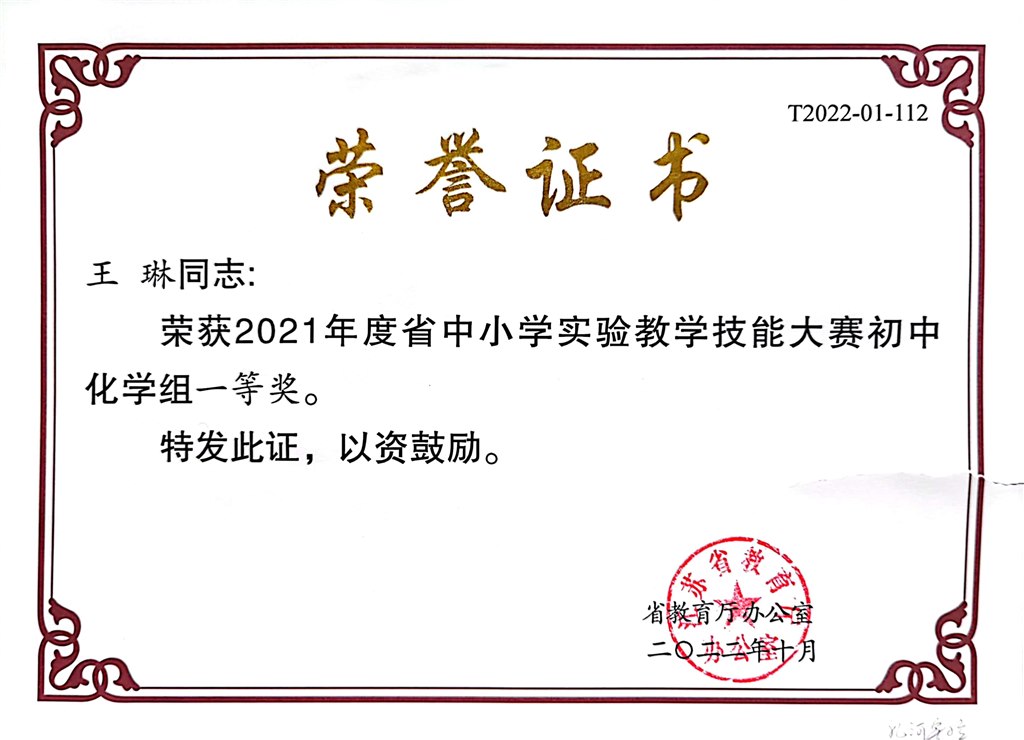 王琳--2021年度省中小学实验教学技能大赛初中化学组一等奖2022.10.jpg