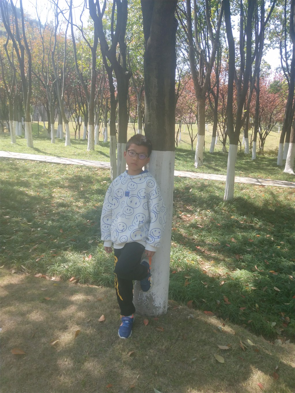 9ad899c6b6aed84cd8786e8db386fa4.jpg