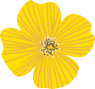微信图片_20230508120443.png 微信图片_20230508120443.png