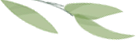 微信图片_20230508134736.png