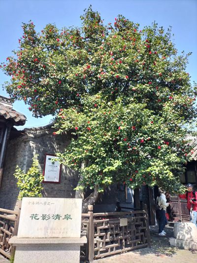 微信图片_20230519000203.jpg