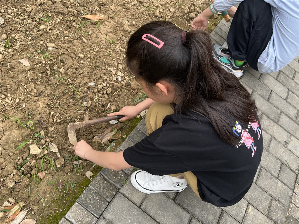 除草1.JPG