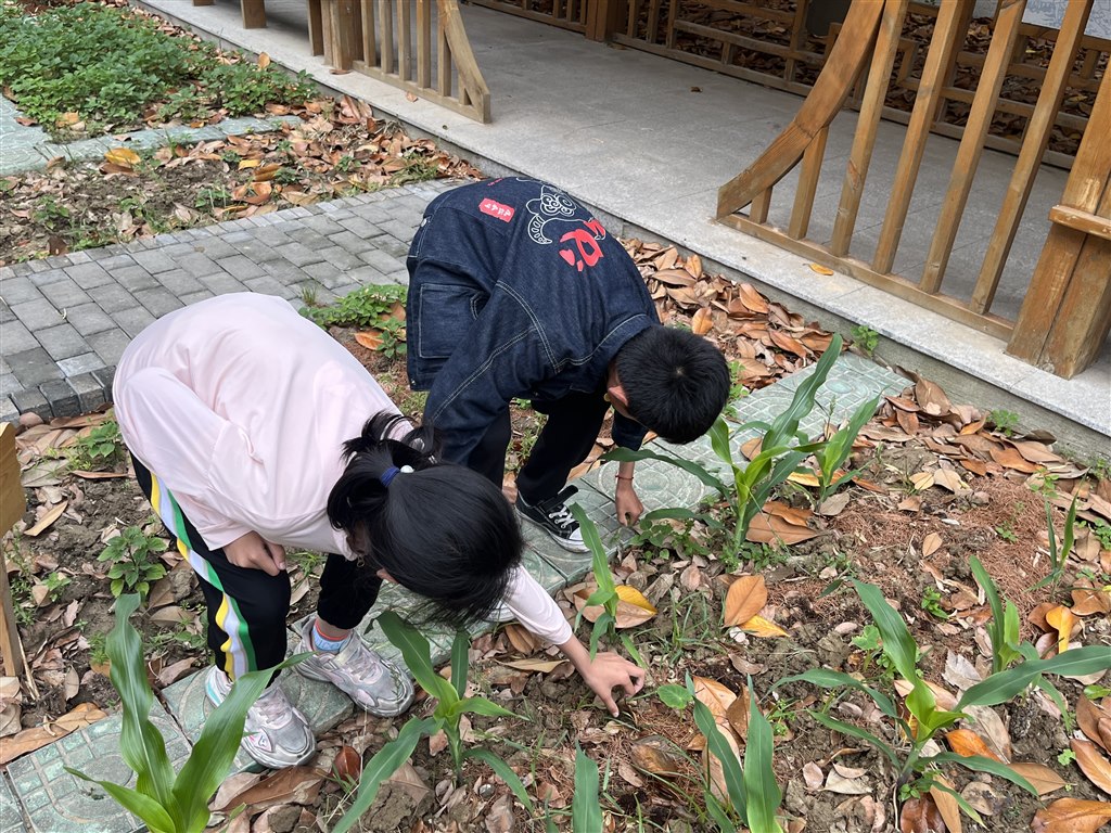 除草5.JPG