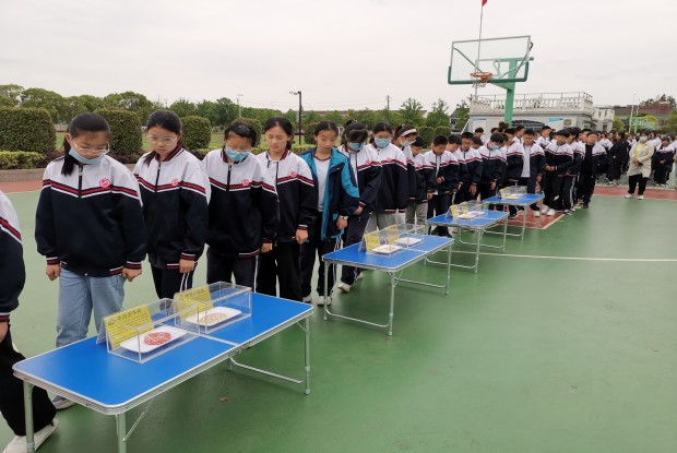 IMG_20230524_161749_副本.jpg