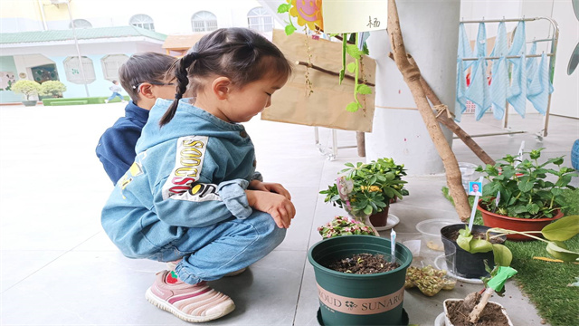 1685018536149.jpg.jpg 1685018536149.jpg.jpg