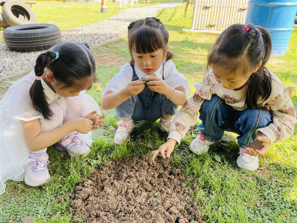 IMG_0146.JPG IMG_0146.JPG