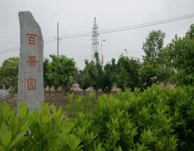 图片25.jpg
