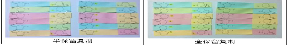 ͼƬ6.png