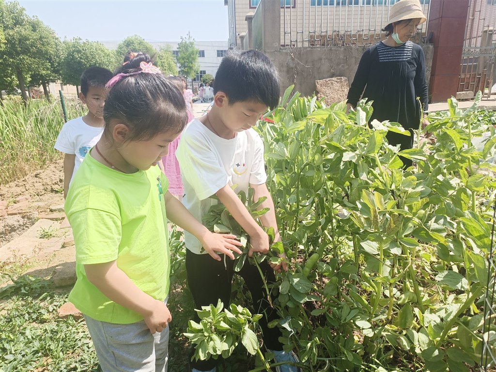 QQ图片20230619085847.jpg