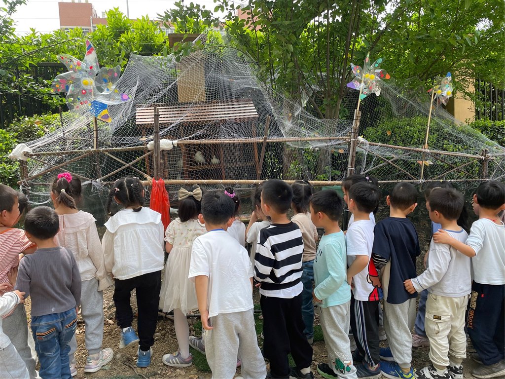 QQ图片20230627132422.jpg