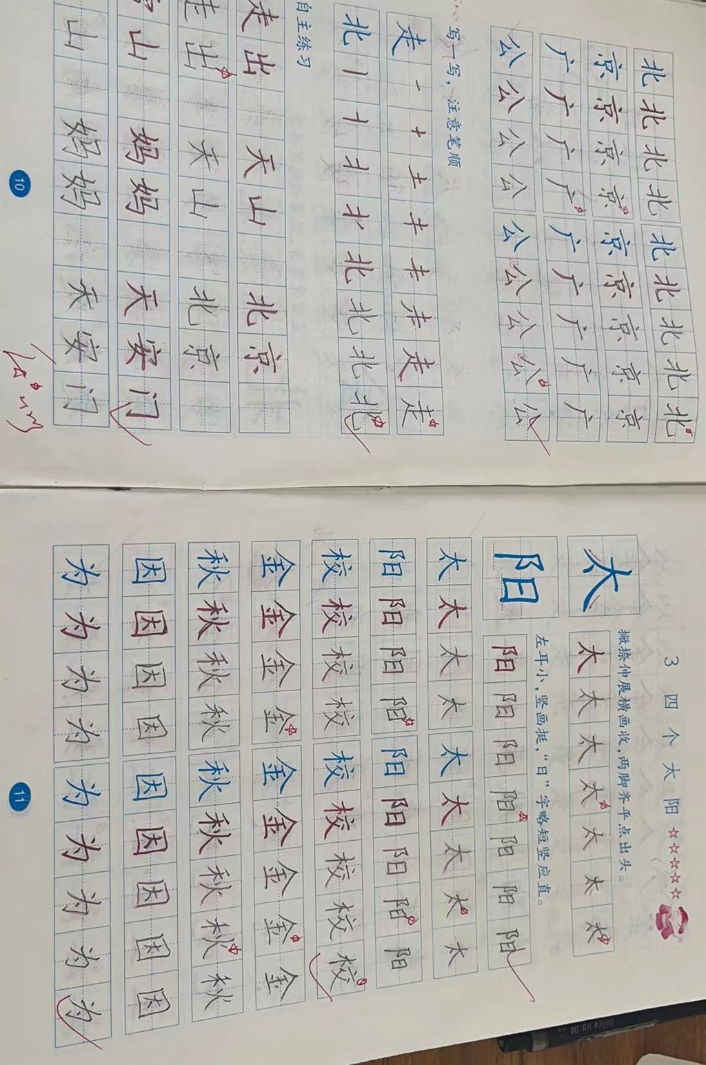 469413948776282242.jpg