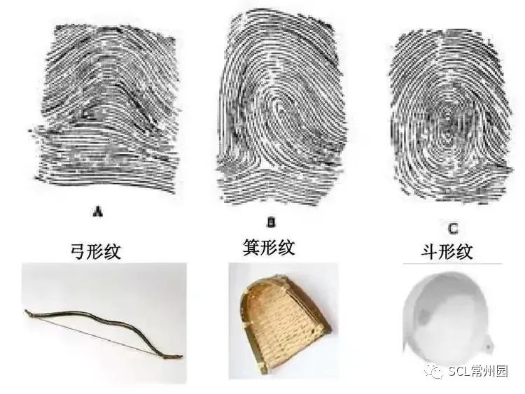 微信图片_20230704110912.jpg