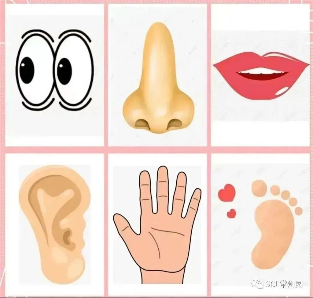 微信图片_20230704112209.jpg