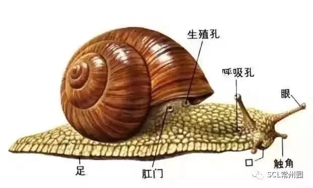 微信图片_20230704123409.jpg