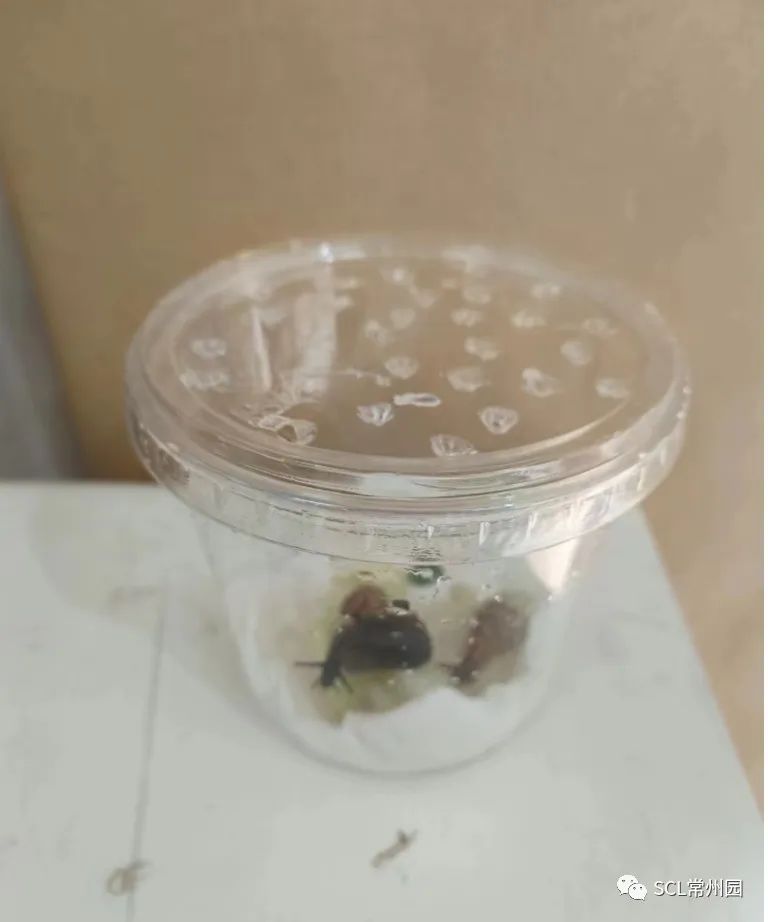 微信图片_20230704123312.jpg