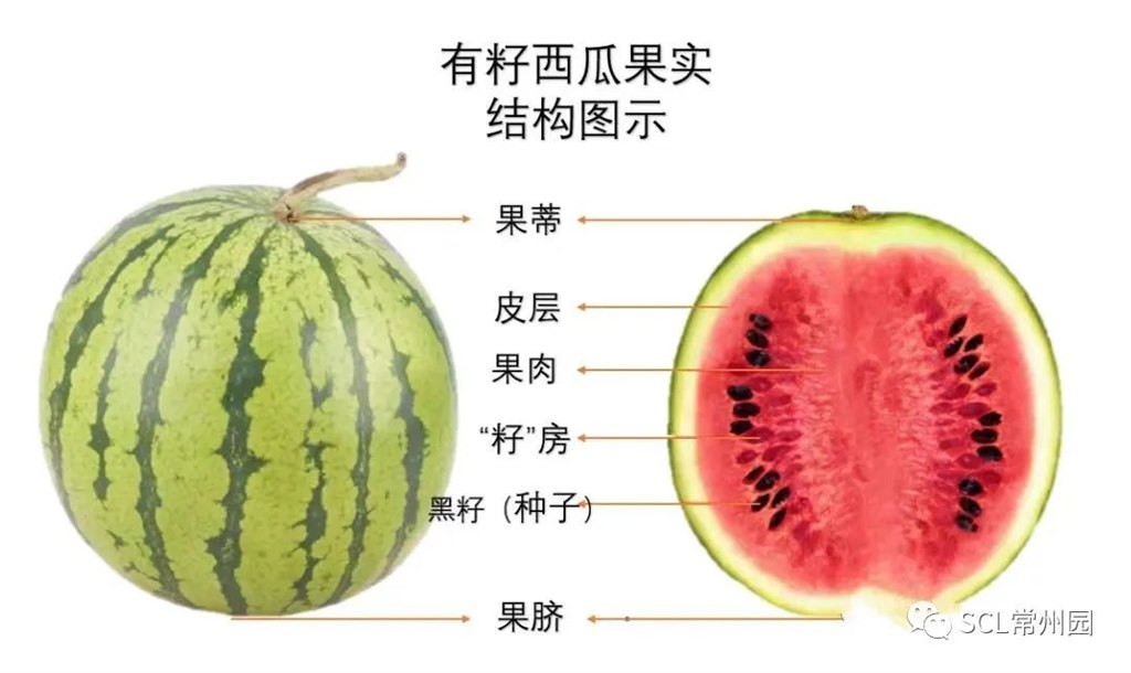 微信图片_20230905160338.jpg
