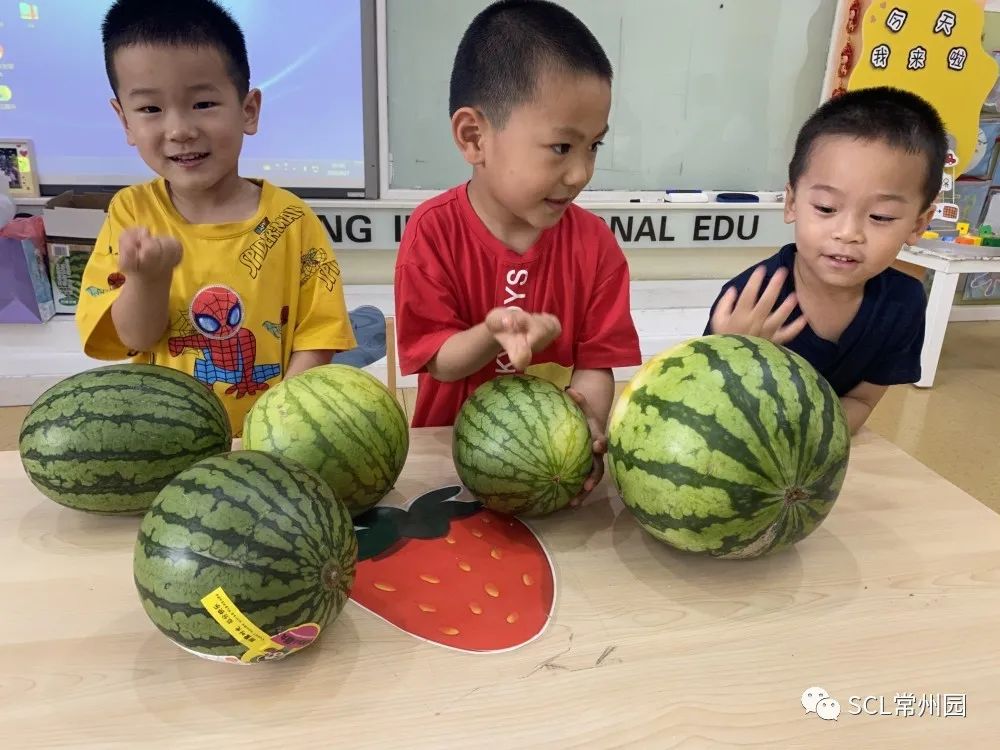 微信图片_20230905160337_1.jpg