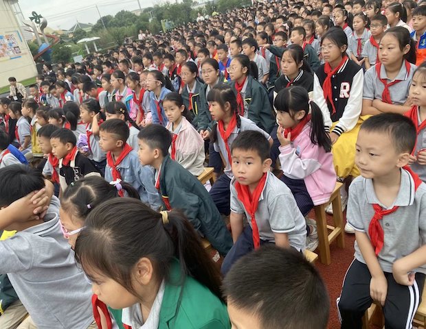 葵花6.jpg 葵花6.jpg