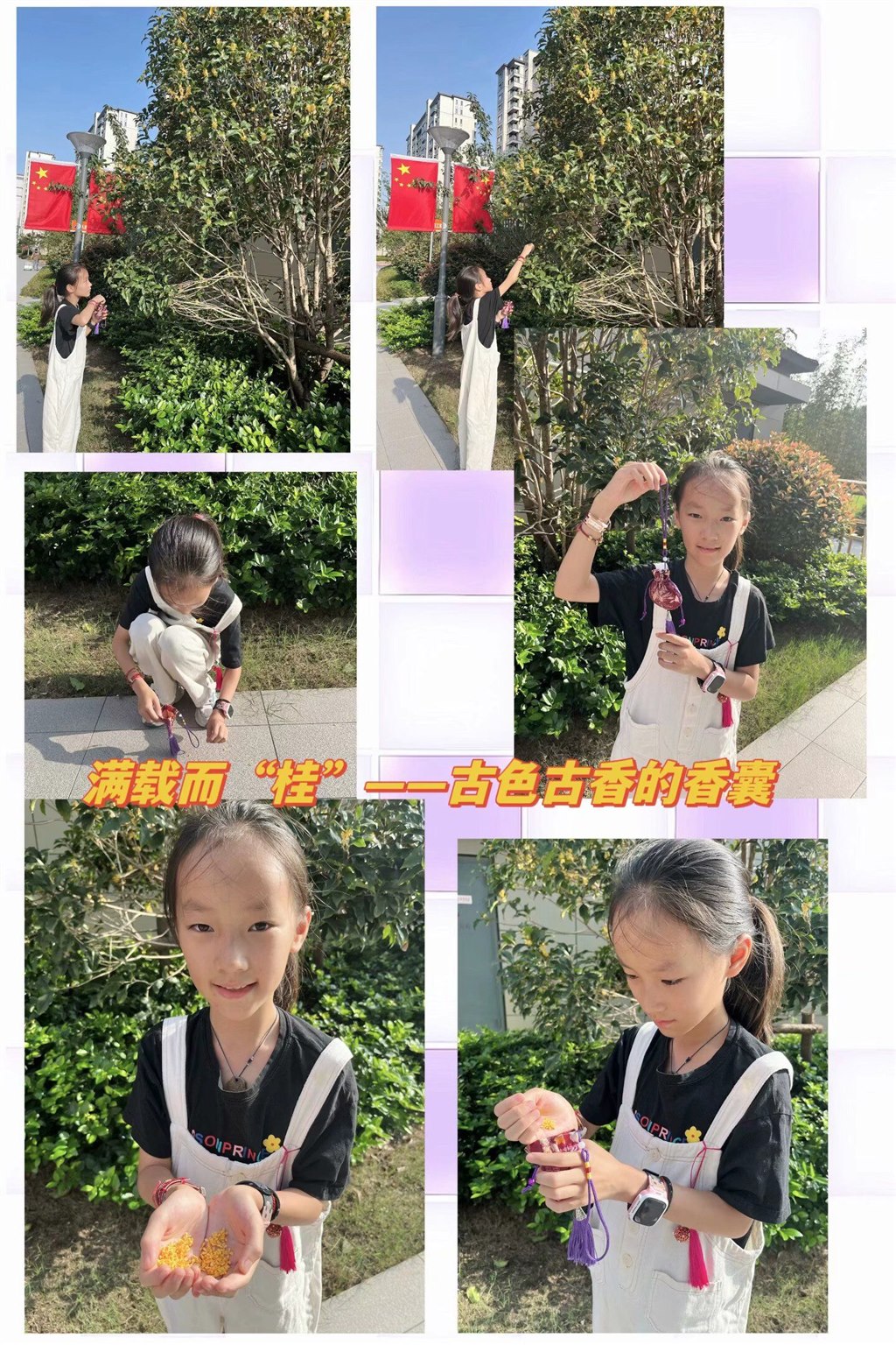 五年级桂花 (4).jpg