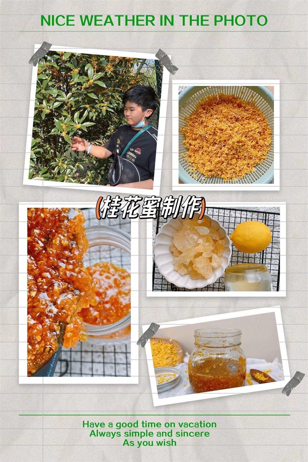 五年级桂花 (6).jpg
